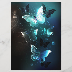 Programa Mariposas nocturnas
