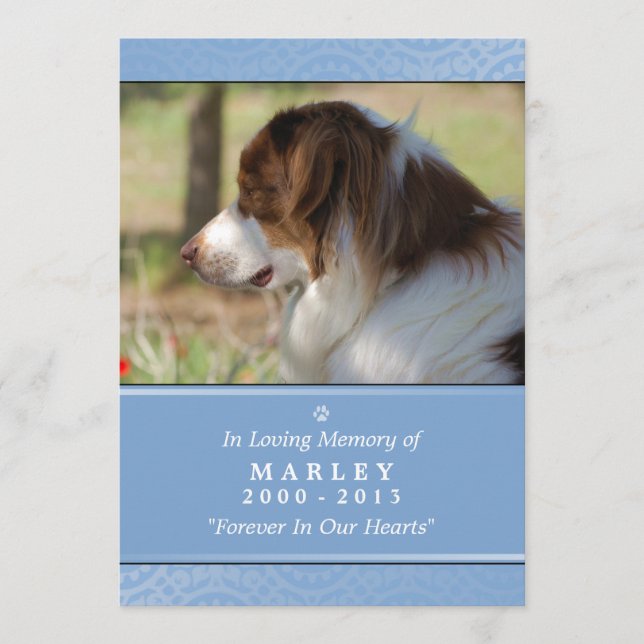 Programa Mascota Memorial 5x7 Poema con contenido de azul c (Anverso)