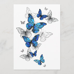 Programa Morfo de las mariposas voladoras azules