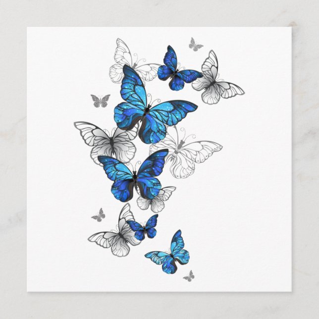 Programa Morfo de las mariposas voladoras azules (Anverso)