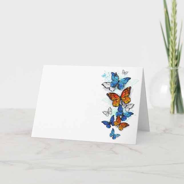 Programa Morfo y monarca de las mariposas voladoras (Anverso)