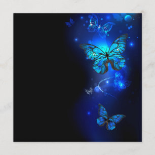 Programa Morpho Butterfly in the Dark Background