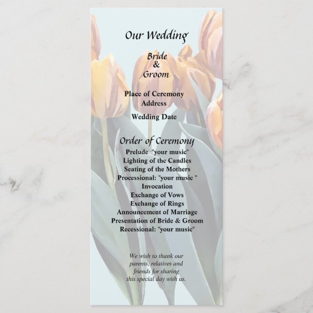 Programa Naranja Tulips (Anverso)