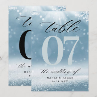 Programa Número de mesa de boda de nieve de invierno