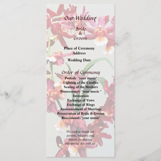 Programa Orchid Oncostele Hilo Firecracker para Añ (Anverso)