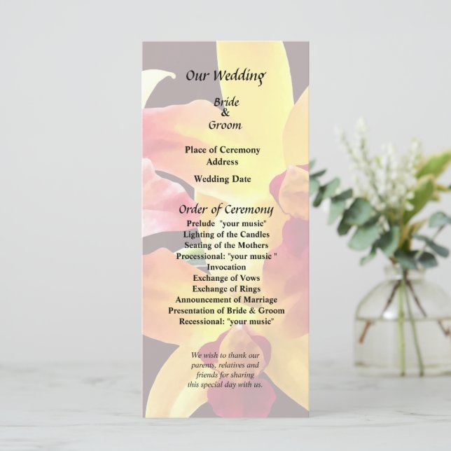 Programa Orquídeas Amarillas y Marrones Brassolaeliocattley (Anverso de pie)