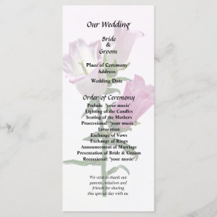 Programa Pink Canterbury Bells