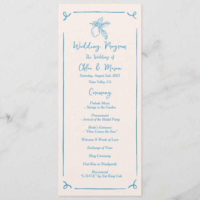 Programa plano de limón dibujado a mano (Anverso)