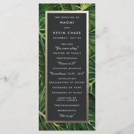 Programa Romance/Programa Tropical