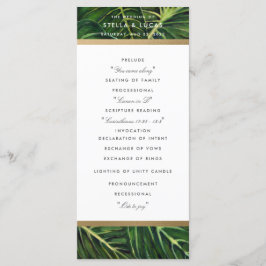 Programa Romance tropical II