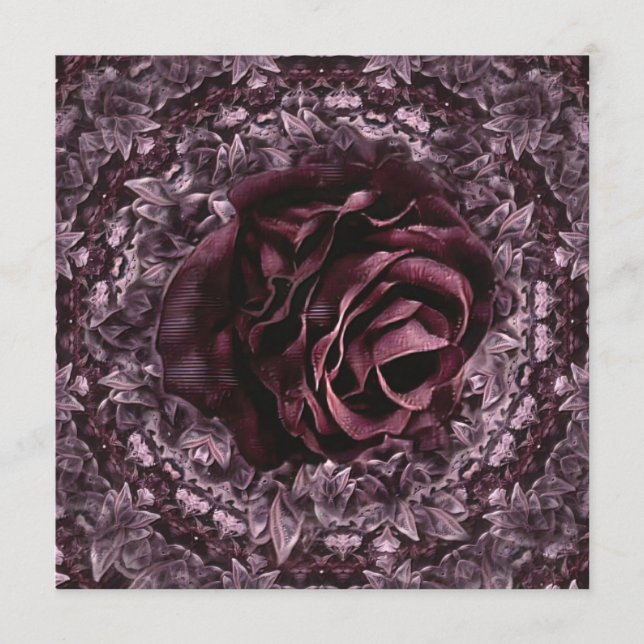 Programa Rosa Mandala (Anverso)