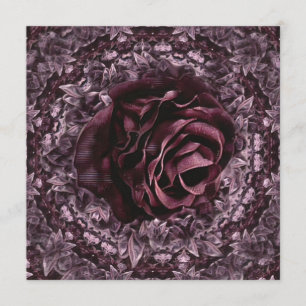 Programa Rosa Mandala