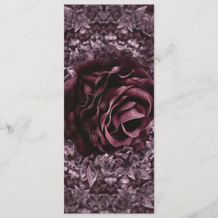 Programa Rosa Mandala