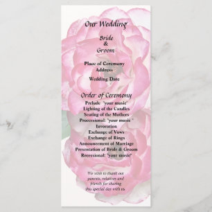 Programa Rosas rosa y blanca