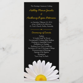 Programa Shasta Daisy Flower Yellow Black Wedding
