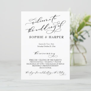 Programa Simple y elegante caligrafía tipografía blanco neg
