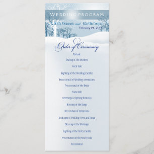 Programa Snowy Winter Wedter Program ice blue
