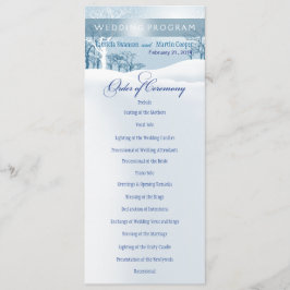 Programa Snowy Winter Wedter Program ice blue