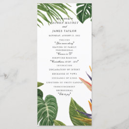 Programa Sueño tropical