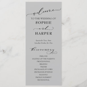 Programa Tipografía simple, guión gris elegante