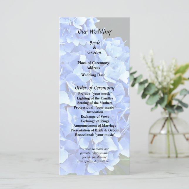Programa Tres Hortensias Azules (Anverso de pie)