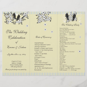 Programa TriFold de la rama de margarita blanca de