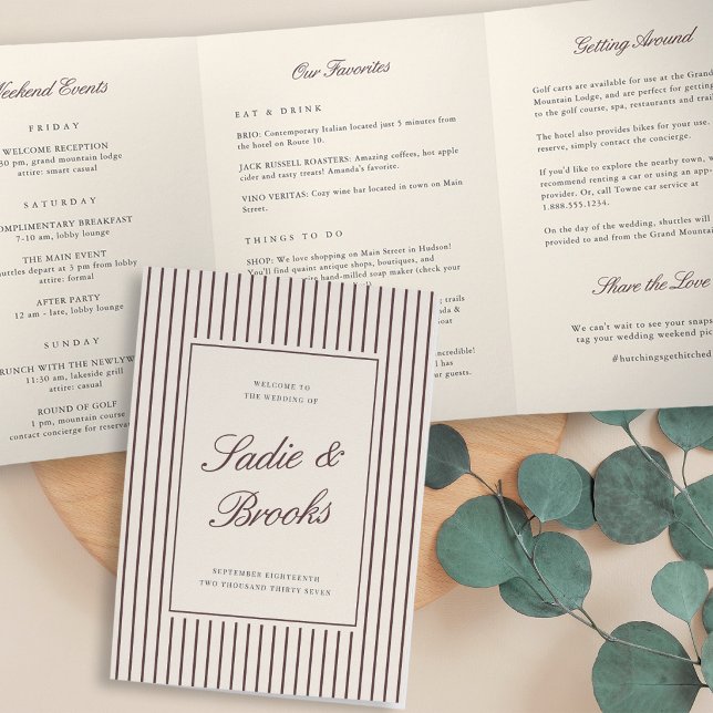 Programa Tríptico Carta de bienvenida y itinerario de boda con franj (Subido por el creador)