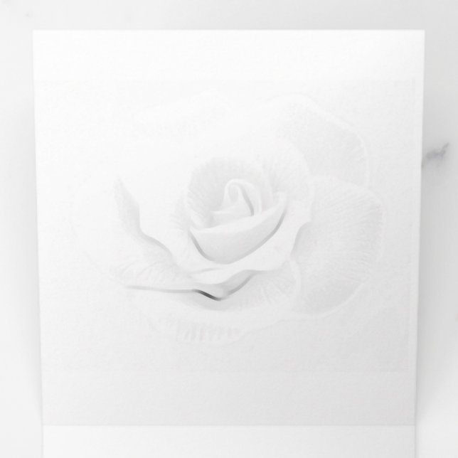 Programa Tríptico Crea el tuyo propio- (Interior primer panel)