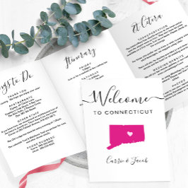 Programa Tríptico Cualquier color de bienvenida de Boda de Connectic