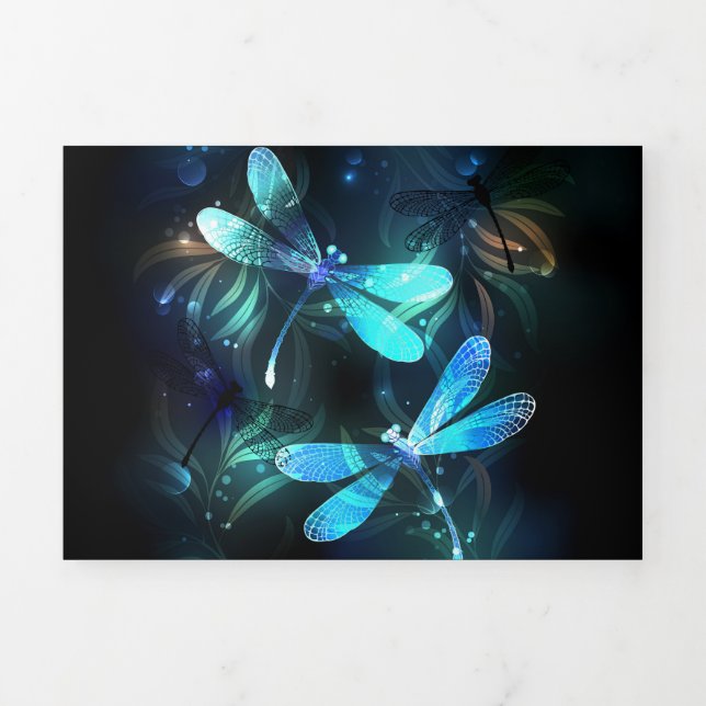 Programa Tríptico Dragonflies (Foto de portada)