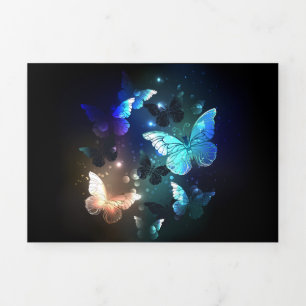 Programa Tríptico Mariposa nocturna fluida