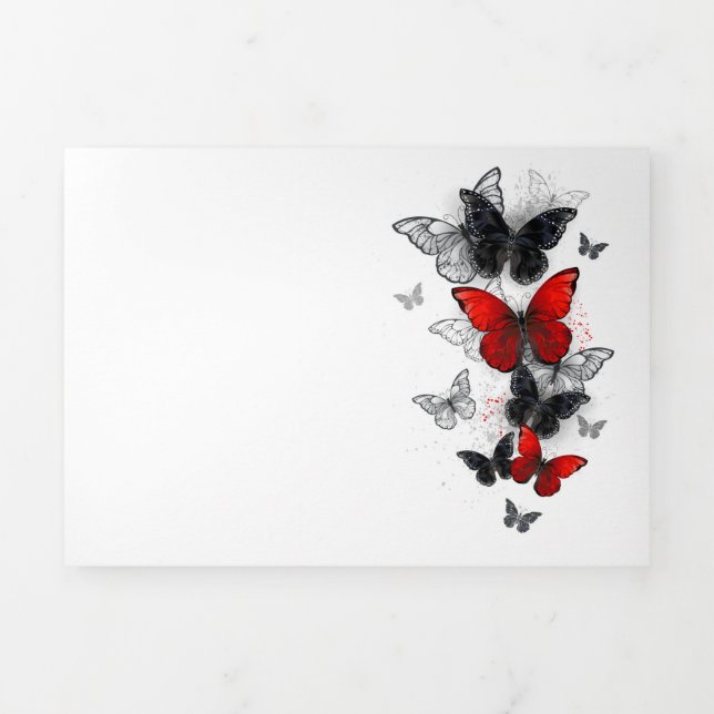 Programa Tríptico Mariposas Morpho voladoras negras y rojas (Foto de portada)
