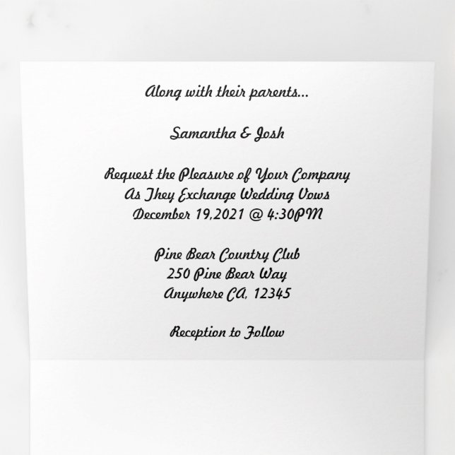 Programa Tríptico Micro weddding + Save the Date Combo triple (Interior primer panel)