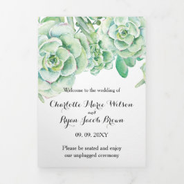 Programa Tríptico Suculento Boda de fotografía del desierto de color