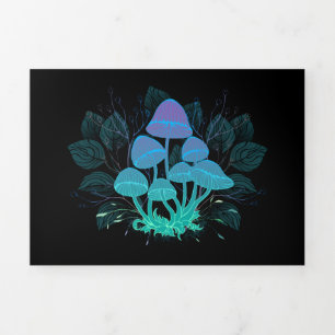 Programa Tríptico Toadstools en Bushes