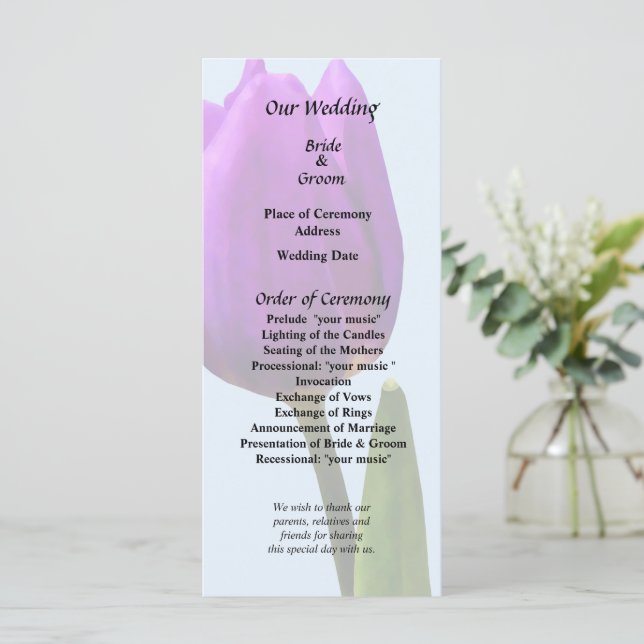 Programa Tulipán Púrpura Solo (Anverso de pie)