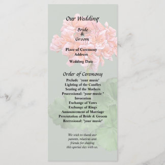 Programa Un geranio rosado