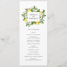 Programa Vegetación acuática y ceremonia de Boda Lemons