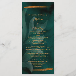 Programa verde esmeralda moderno y hojas