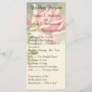 Programa Vintage Rosa Wedding