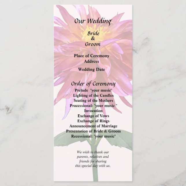 Programa Vivid Pink Dahlia (Anverso)