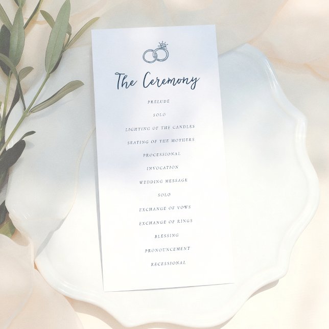 Programa Whimsical Doodle Retro Light Blue Wedding (Subido por el creador)