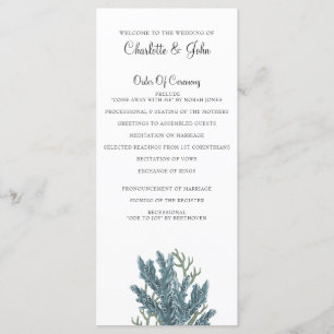 Programas de Boda Marítima de Corales Azules