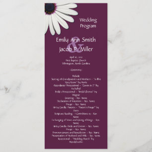 Programas de Daisy Purple Wedding