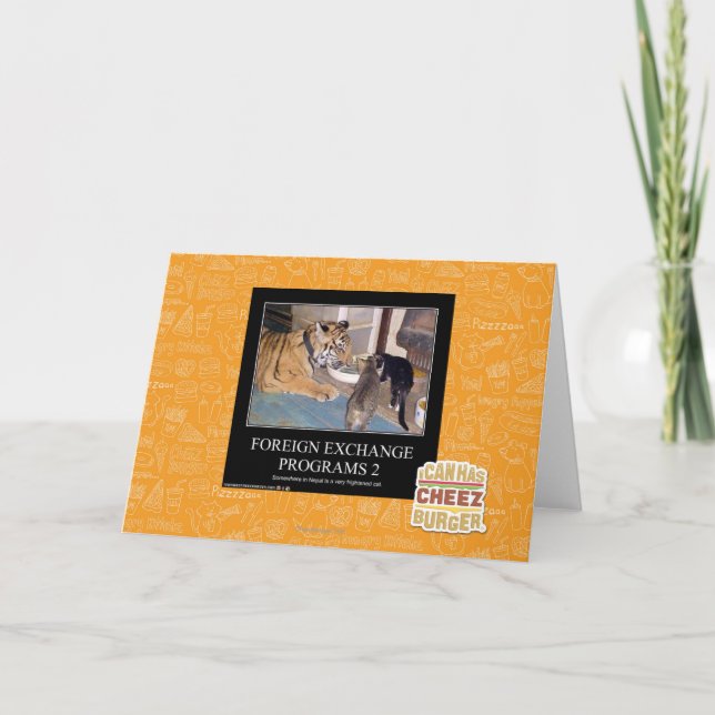 Programas de divisas 2 (Anverso)