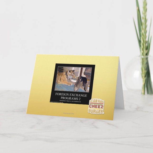 Programas de divisas 2 (Anverso)