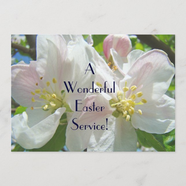 Programas de invitaciones al servicio de Semana Sa (Anverso)