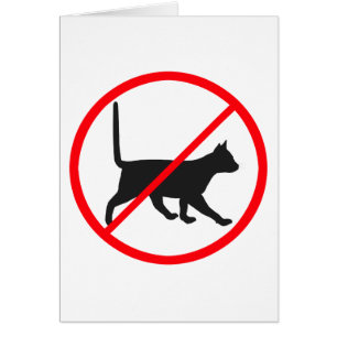 ¡Prohibidos los gatos!