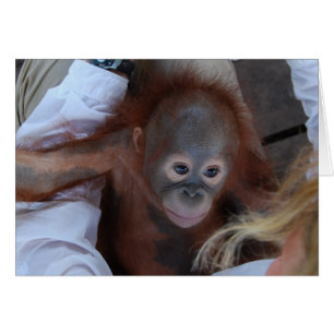 Promesa a los huérfanos de la fauna