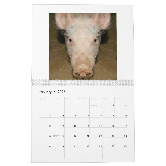 Promo del calendario (Jan 2026)